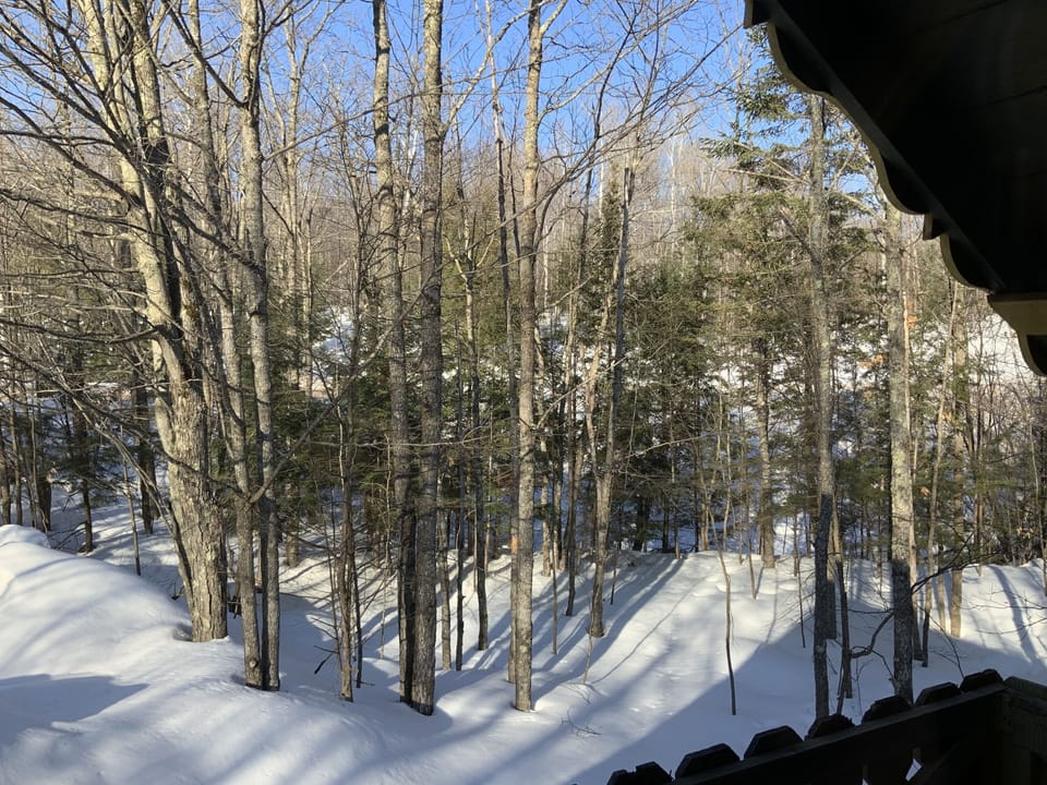 View from property