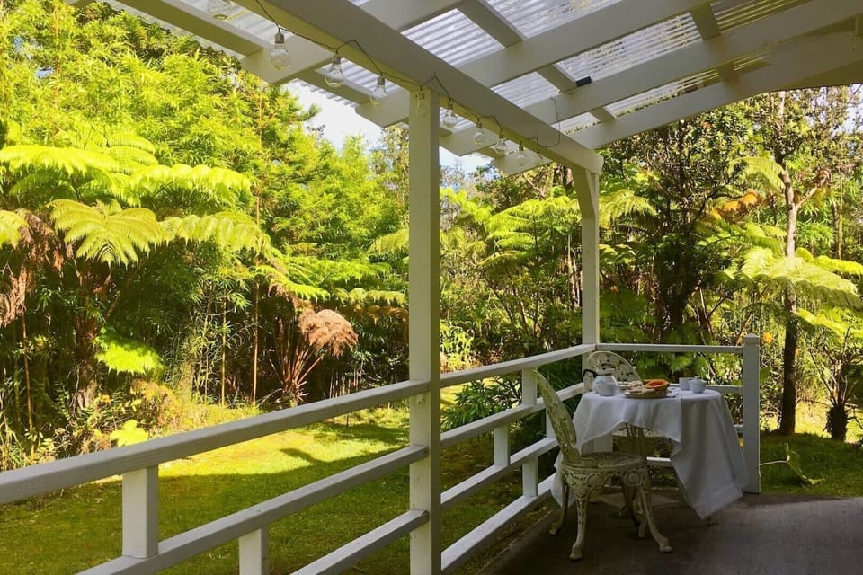 Dry patio for outdoor summer dinners 