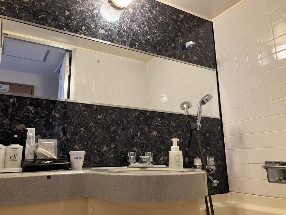 Combined shower/tub, free toiletries, hair dryer, slippers