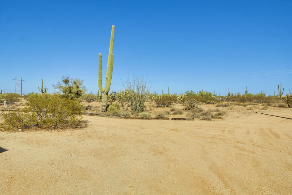 Desert Surroundings
