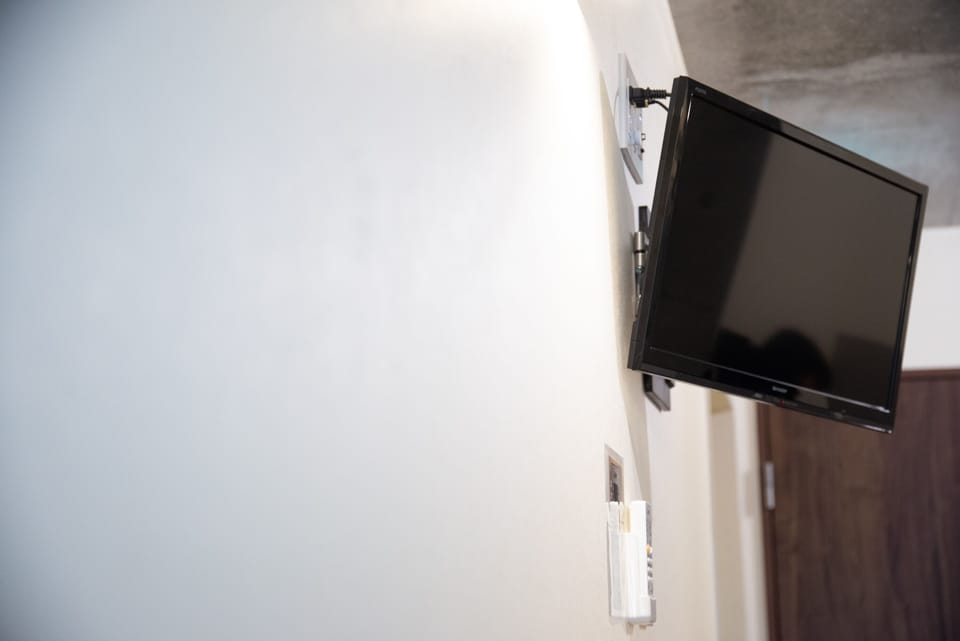 Television