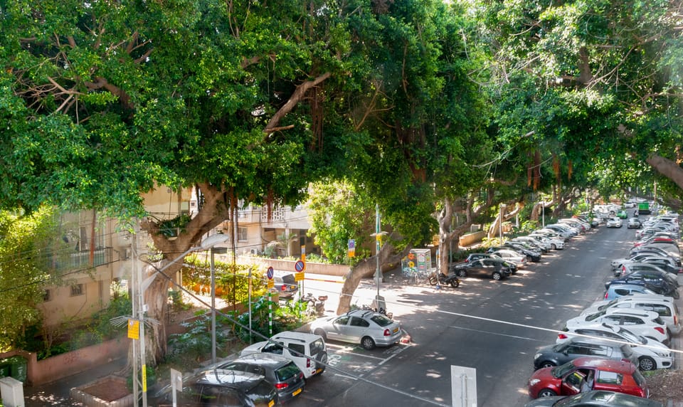 Apartment, 3 Bedrooms, 2 Bathrooms | Street view