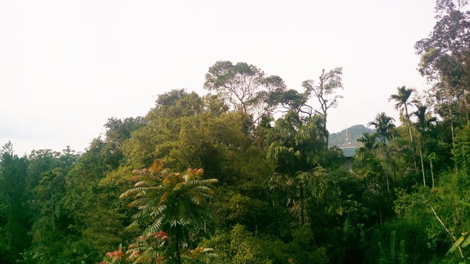 Mountain view