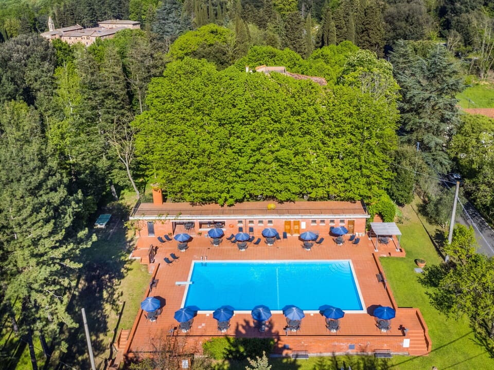 Swimming Pool, Resort, Eco Hotel, Landscaping, Resort Town, Park, Hacienda, Hotel, Plantation