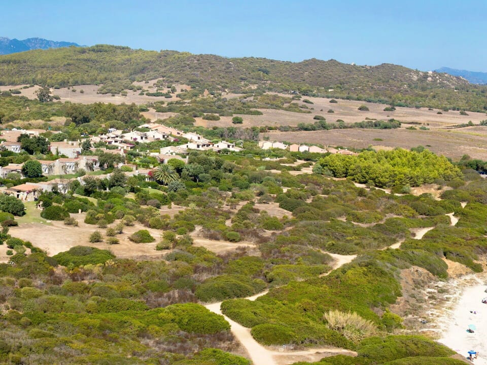 Sky, Plant, Plant Community, Ecoregion, Natural Landscape, Land Lot, Tree, Mountain, Grassland, Grass