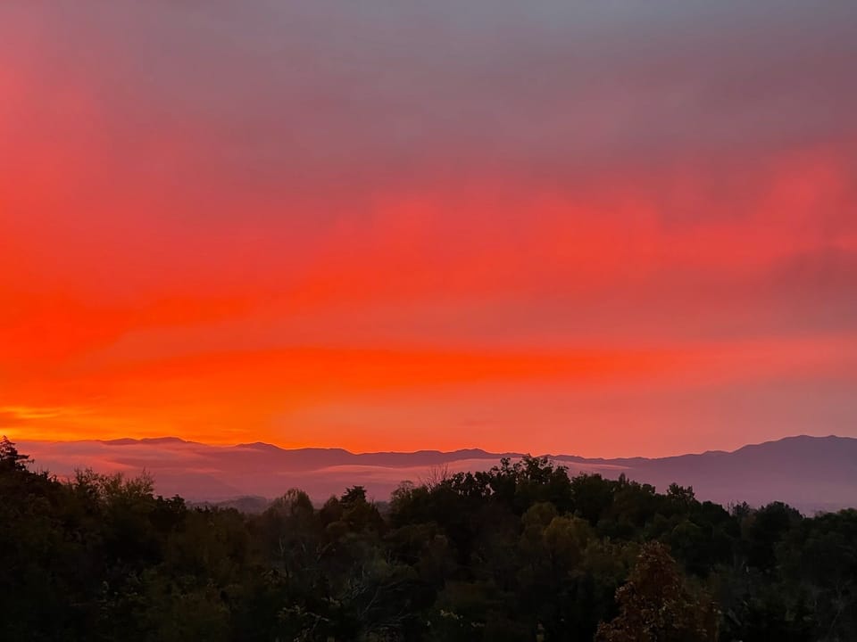 This photo was taken during sunrise at our back porch.Enjoy!!