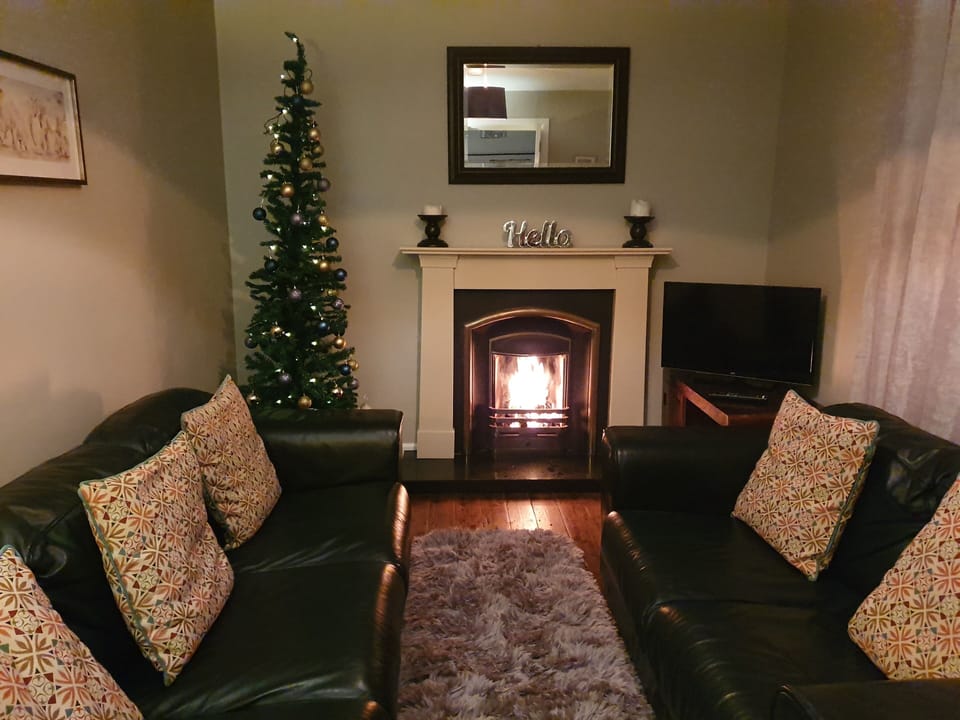 House | Living room | TV, fireplace