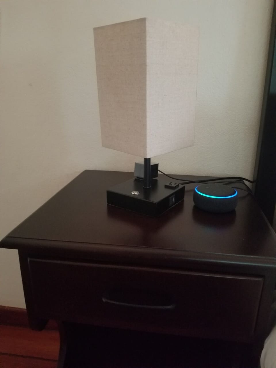 echo dot (Alexa)