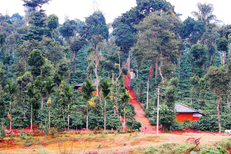 Land view from property