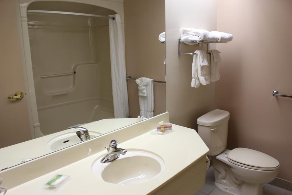 Combined shower/tub, free toiletries, hair dryer, towels