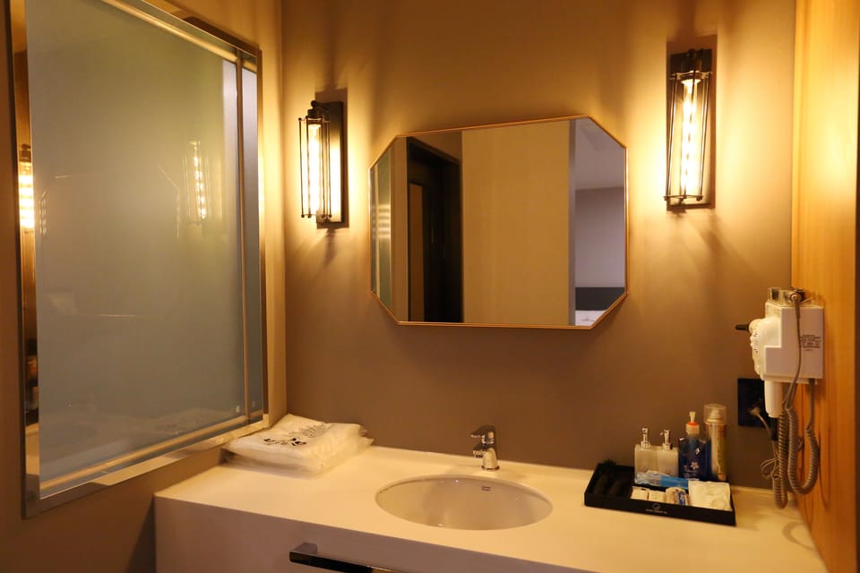 Suite (+ Styler) | Bathroom sink