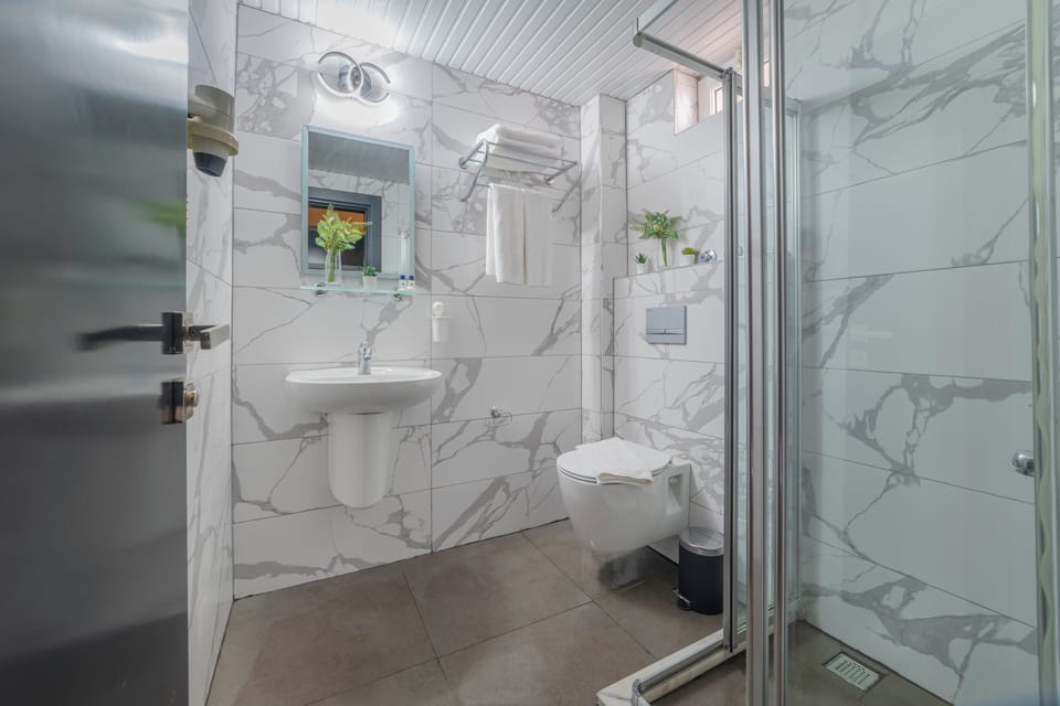 Shower, free toiletries, hair dryer, slippers