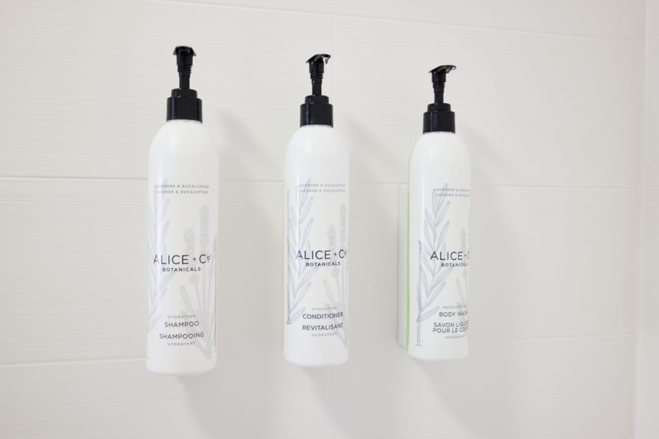 Combined shower/tub, free toiletries, hair dryer, towels