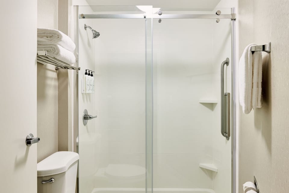 Combined shower/tub, free toiletries, hair dryer, towels