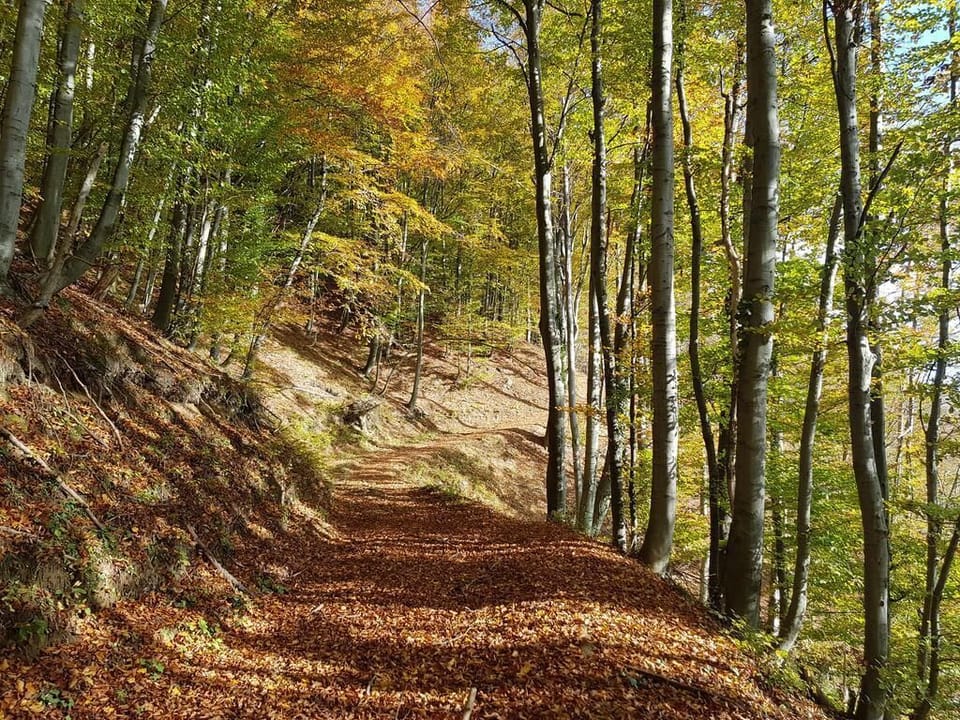 Hiking