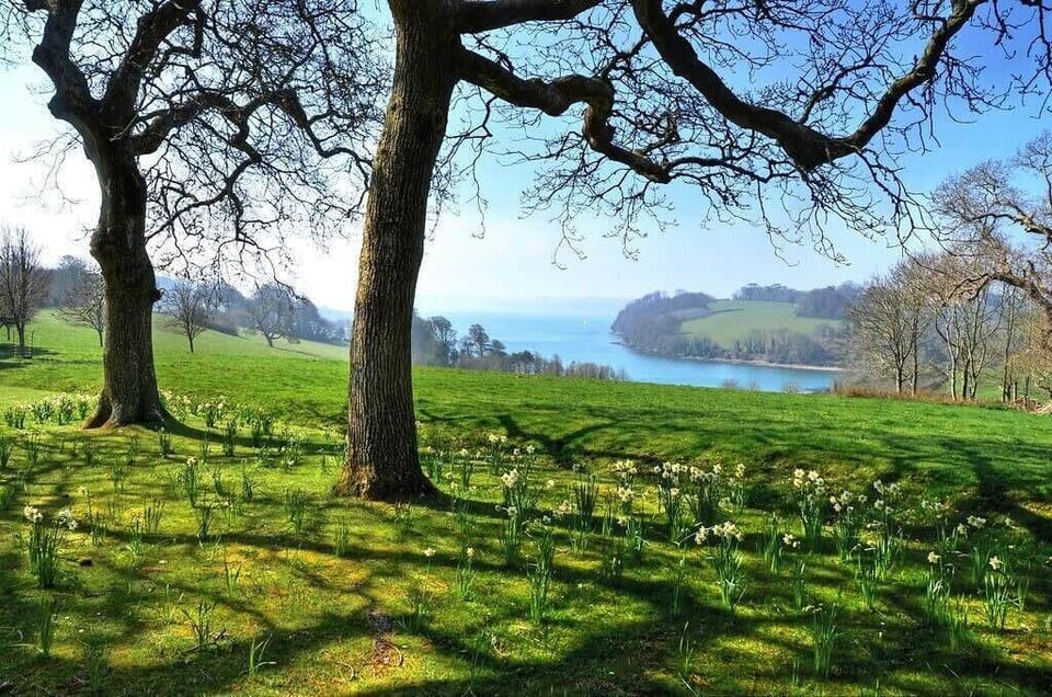 National Trust Trelissick House & Gardens - 20-25 mins to drive.