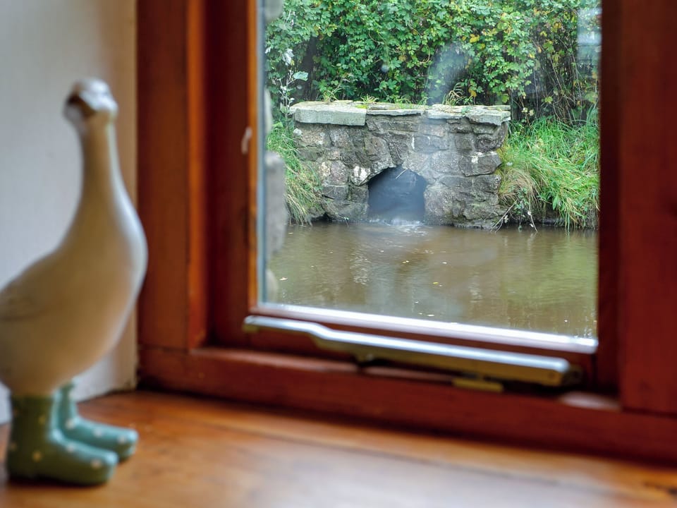 View from window | Mallard - Tankey Lake Farm, Llangennith, near Swansea