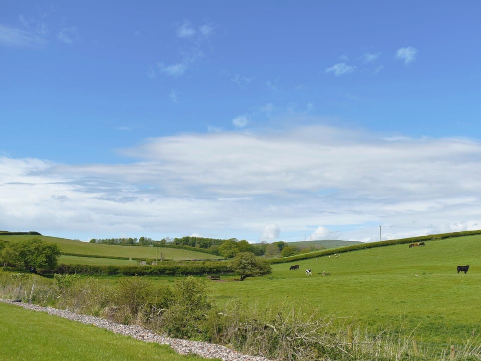 Garden and grounds | Birch Lodge - Dale Garth Lodges, Mascalles, near Ulverston