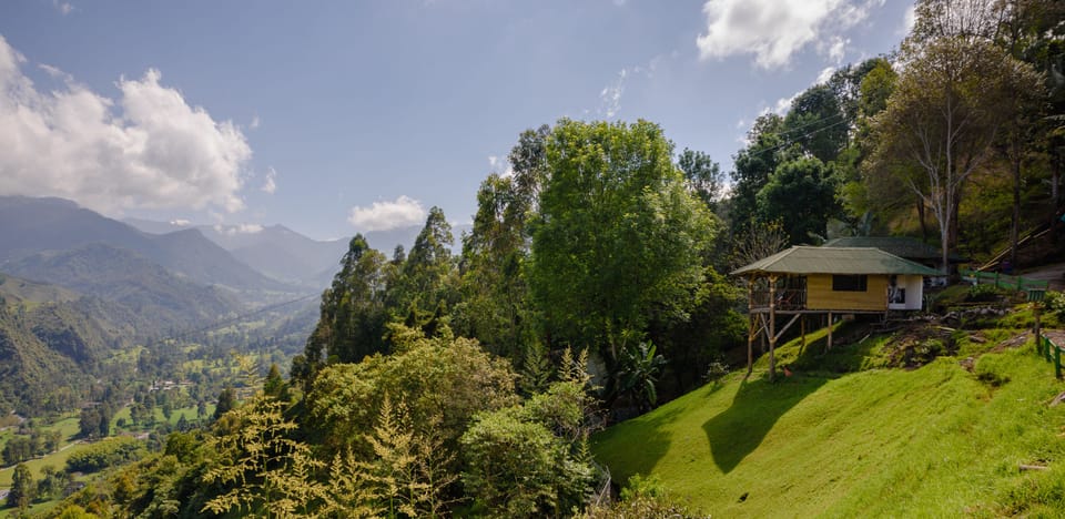Mountain view