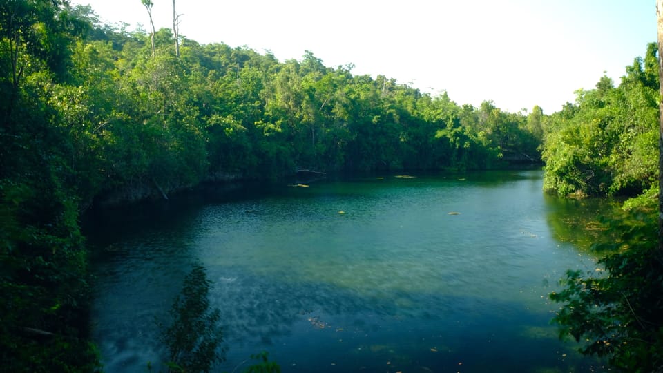 Lake view