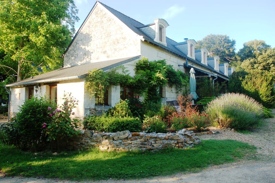 Summer flowering around the terrace.