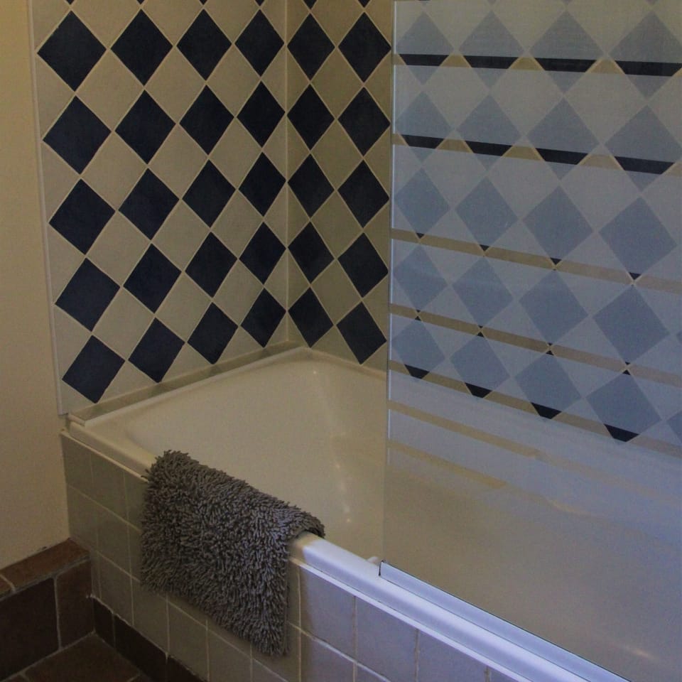 Bathroom (bath with shower in bath)