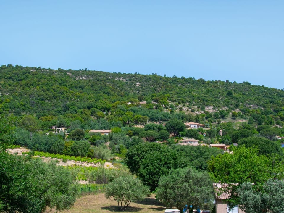 View from Holiday Home [summer]