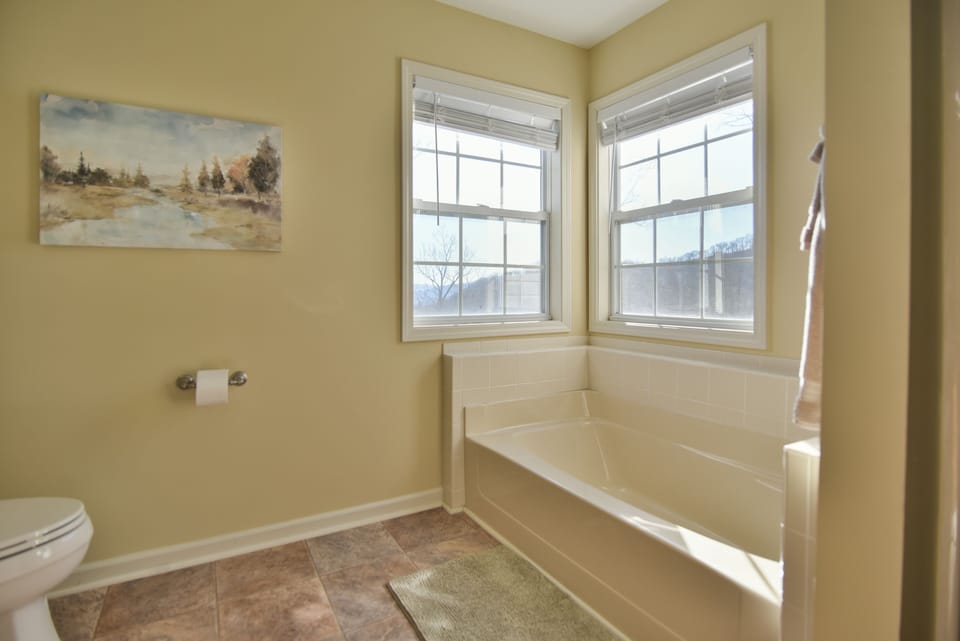 Master bath tub