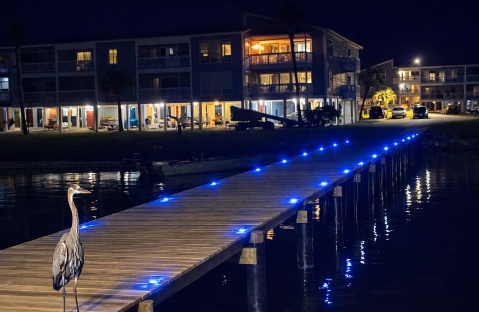 Serene night pier showcasing tranquil waterfront views.
