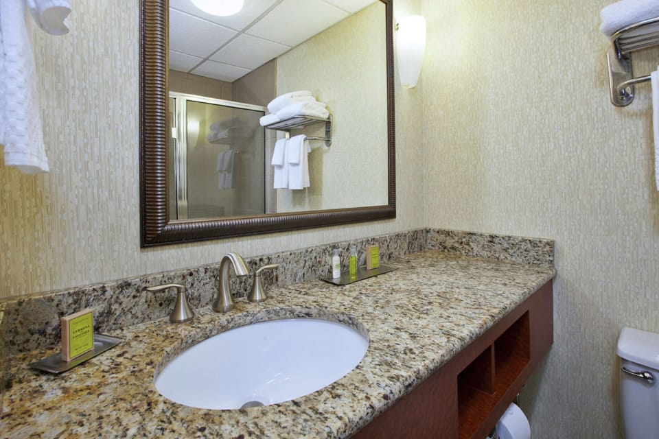 Combined shower/tub, free toiletries, hair dryer, towels