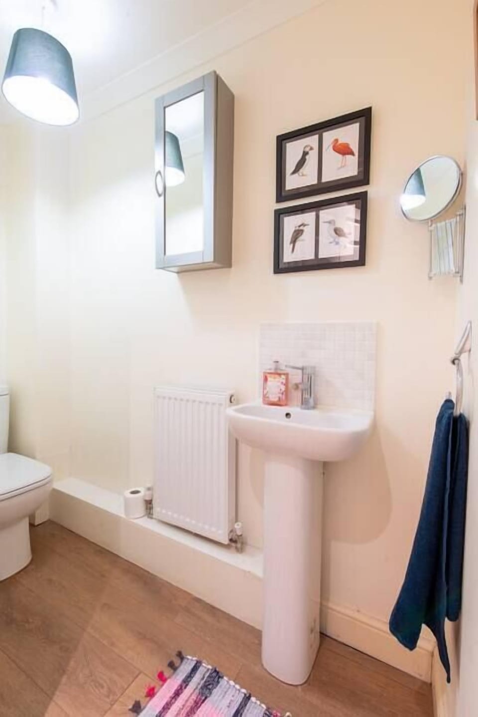 The downstairs toilet and sink.
