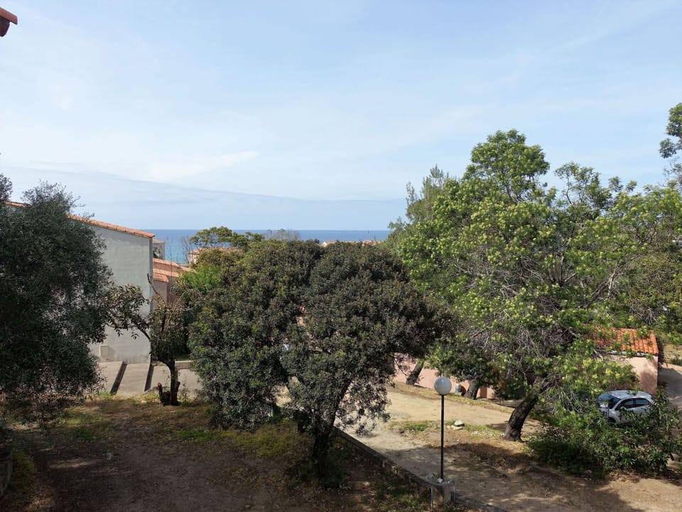 Cloud, Sky, Plant, Tree, Landscape, Building, Shrub, City, Horizon, Grass