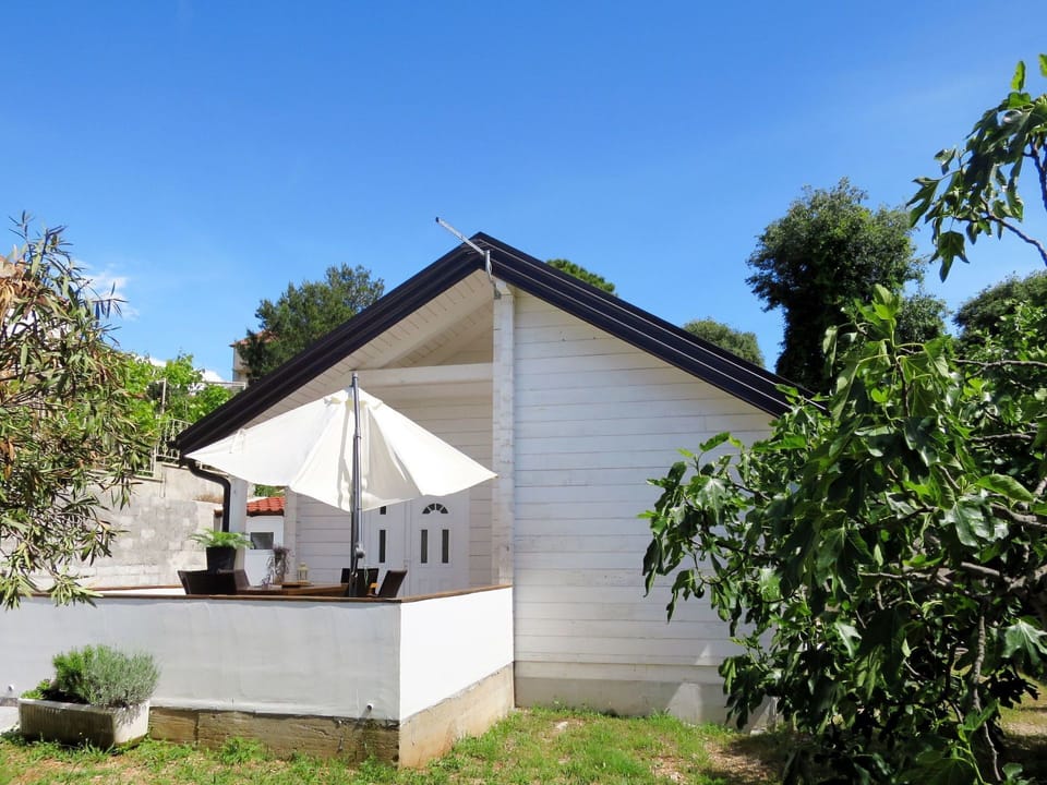 Property, House, Home, Cottage, Real Estate, Building, Rural Area, Land Lot, Roof, Tree