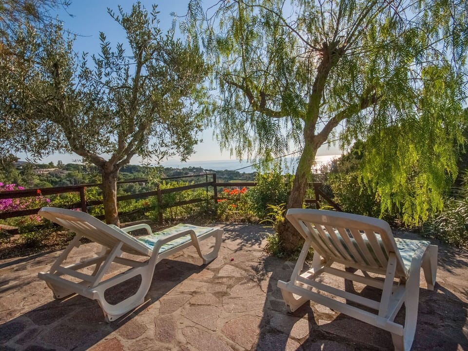 Plant, Furniture, Sky, Plant Community, Shade, Wood, Outdoor Furniture, Vegetation, Tree, Cottage