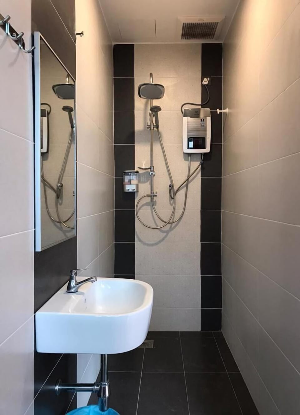 Shower, bidet, towels, toilet paper