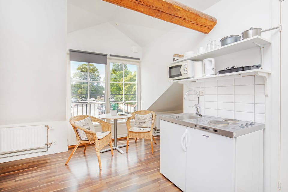 Studio | Private kitchen | Coffee/tea maker, fridge, microwave, stovetop