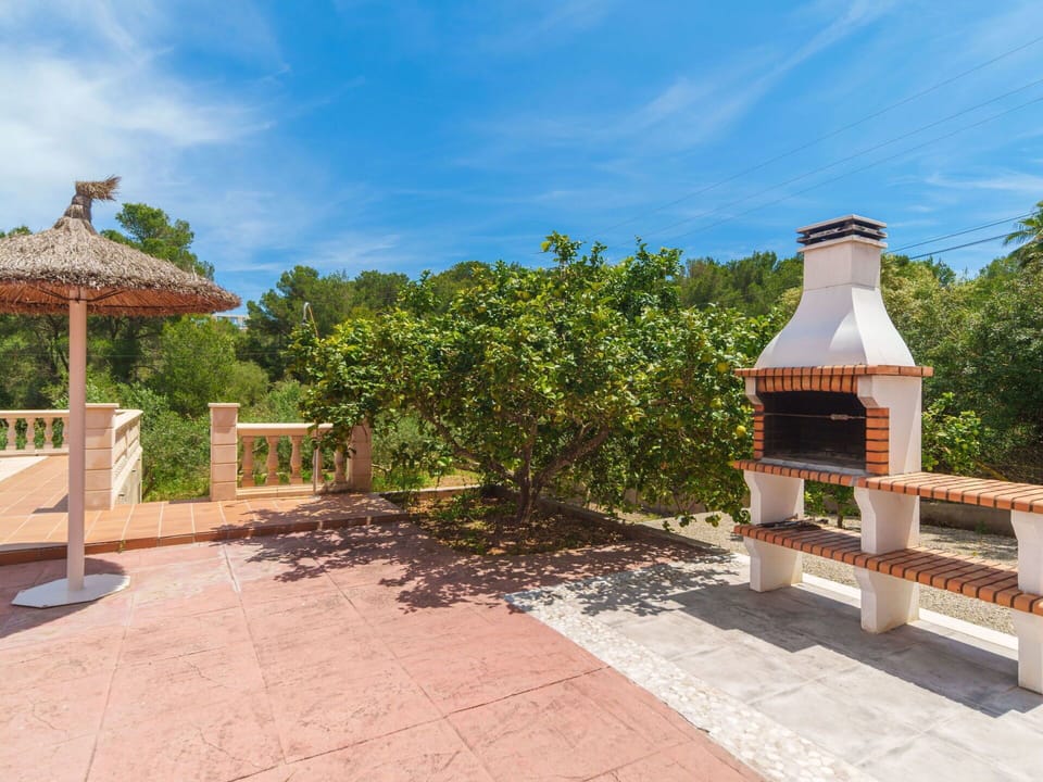 Shade, Garden, Landscaping, Outdoor Structure, Eco Hotel, Yard, Backyard, Hacienda