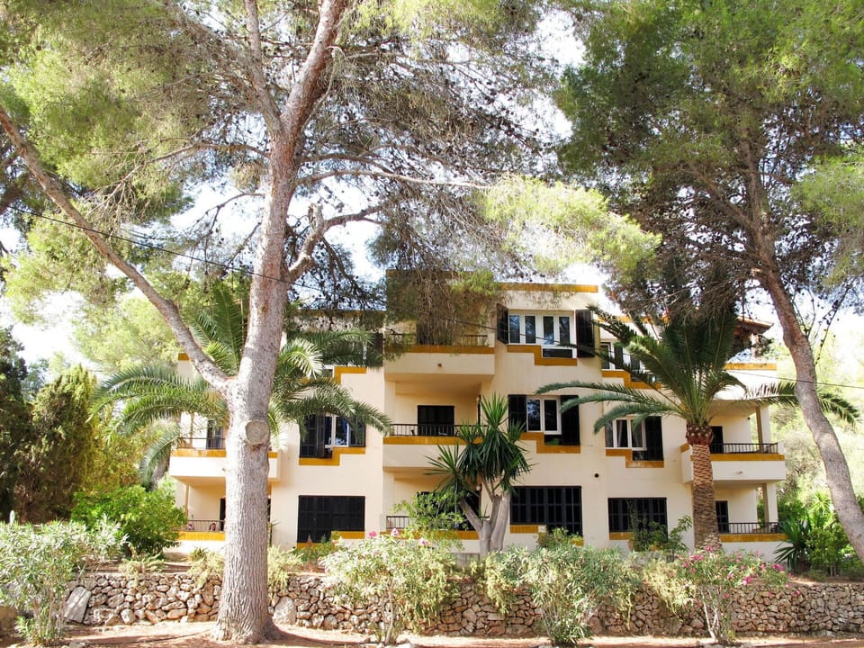 Plant, Building, Window, Tree, Arecales, Vegetation, Neighbourhood, House, Residential Area, Woody Plant