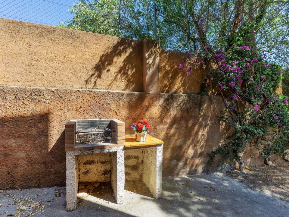 Plant, Table, Sky, Tree, Outdoor Furniture, Wood, Wall, Outdoor Table, Stone Wall, Landscape