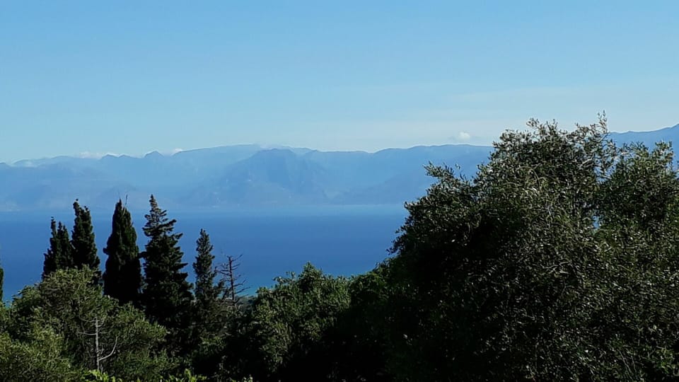 Scenic View