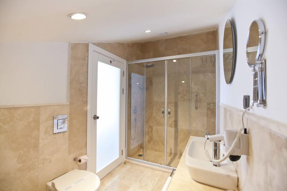 Deluxe Suite | Bathroom | Shower, rainfall showerhead, free toiletries, hair dryer