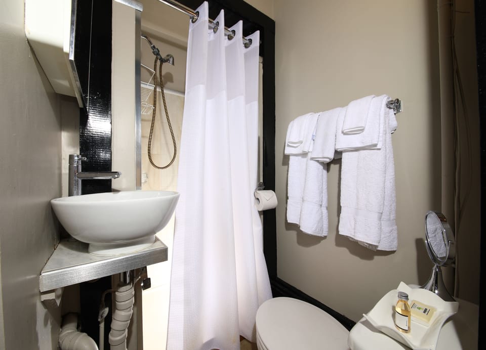 Colonel J.H. Gray Suite 2 | Bathroom | Shower, hydromassage showerhead, eco-friendly toiletries, hair dryer