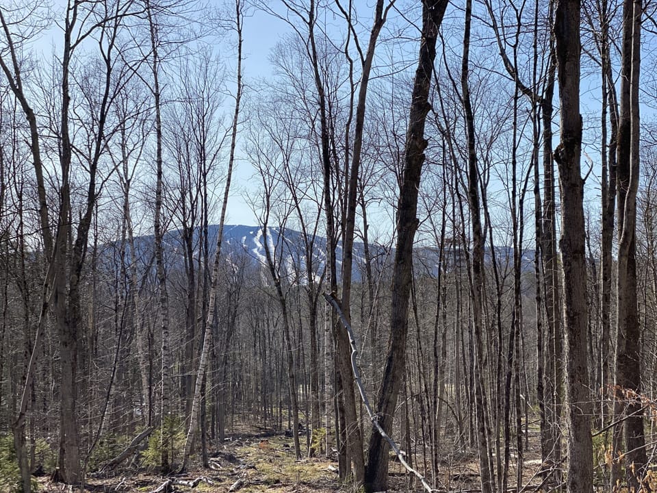 View of Okemo Mountain from the trail on our property.