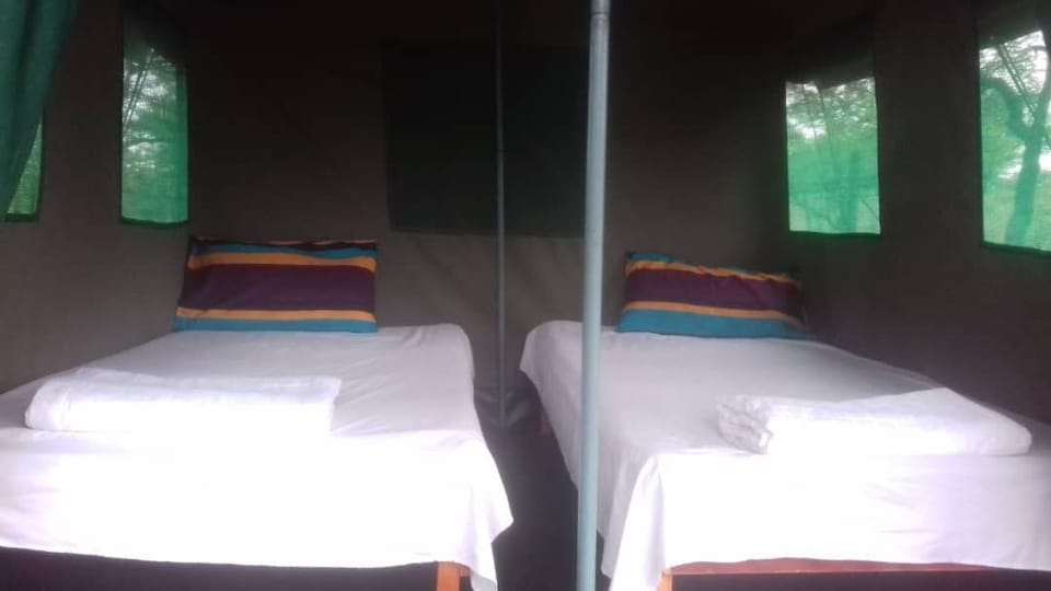 Economy Tent | Bed sheets