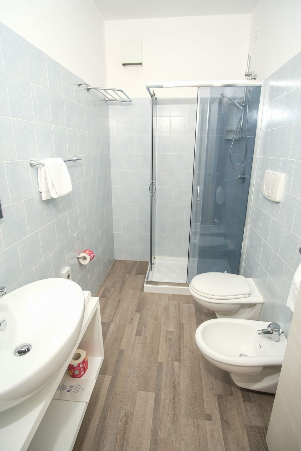 Shower, hair dryer, bidet, towels