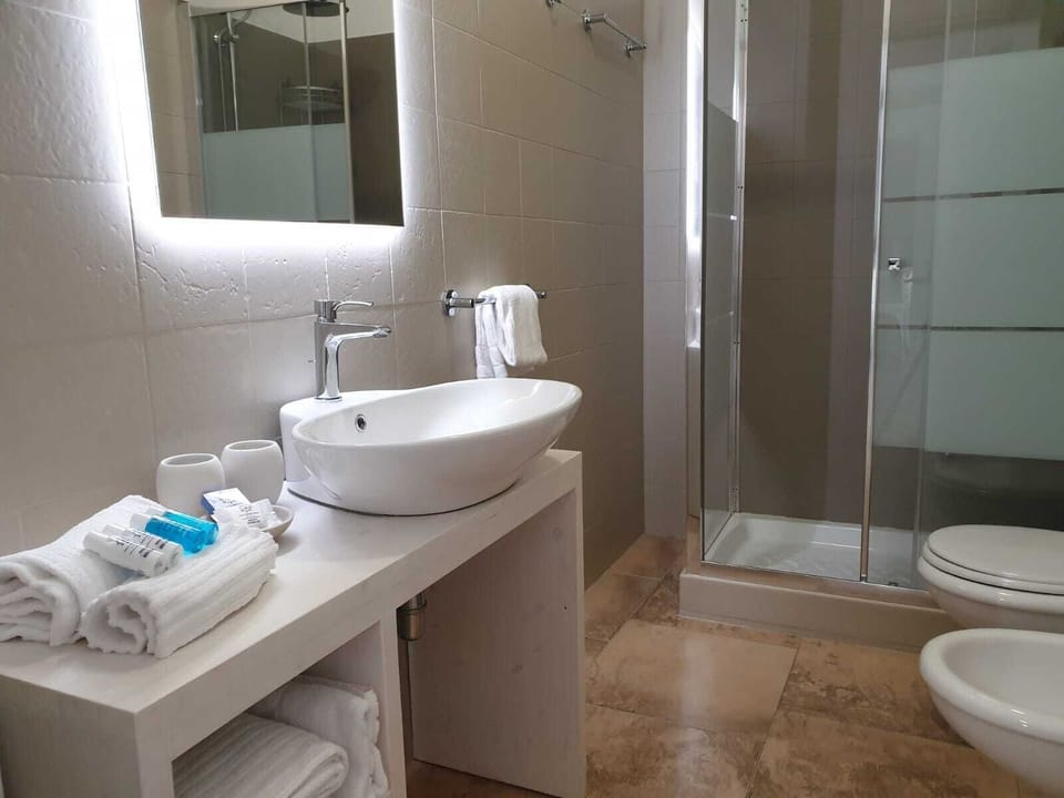 Shower, hair dryer, bidet, towels