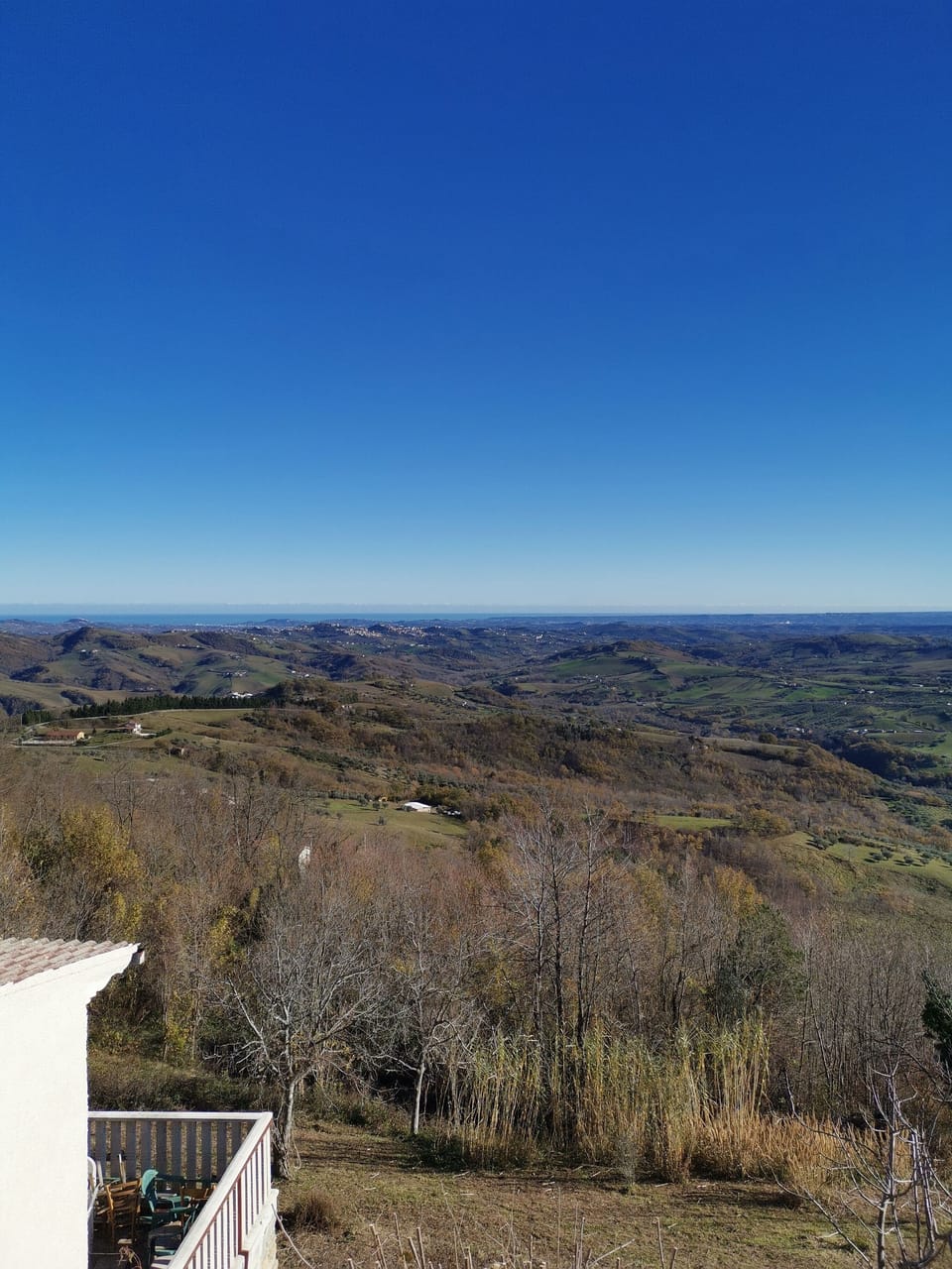 View from property