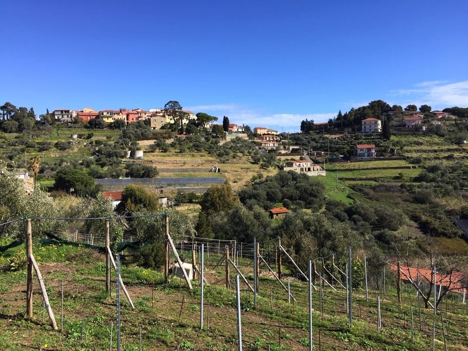 Land view from property