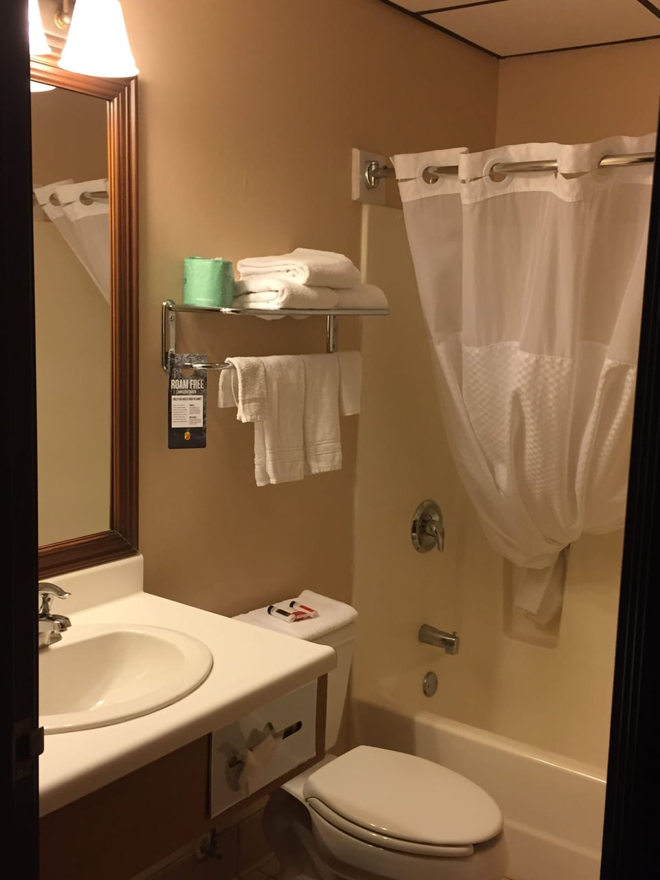 Combined shower/tub, free toiletries, hair dryer, towels