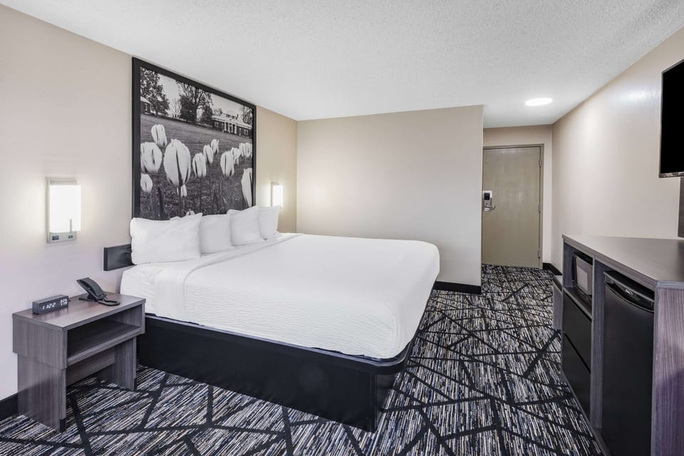 Room, 1 King Bed, Non Smoking | Desk, blackout drapes, free WiFi, bed sheets